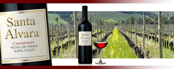 當(dāng)日特價(jià)兩個(gè)月銷量的TOP8產(chǎn)品排名出來了!冠軍居然不是法國(guó)葡萄酒,就是。