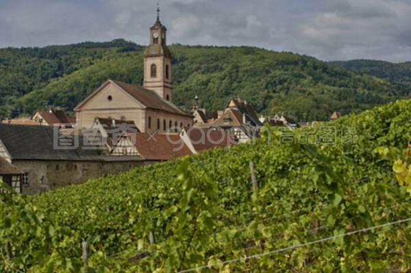 阿爾薩斯的里奎維爾葡萄園