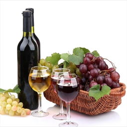 千岸優(yōu)選紅酒加盟 開啟法國葡萄酒連鎖事業(yè)的投資指南